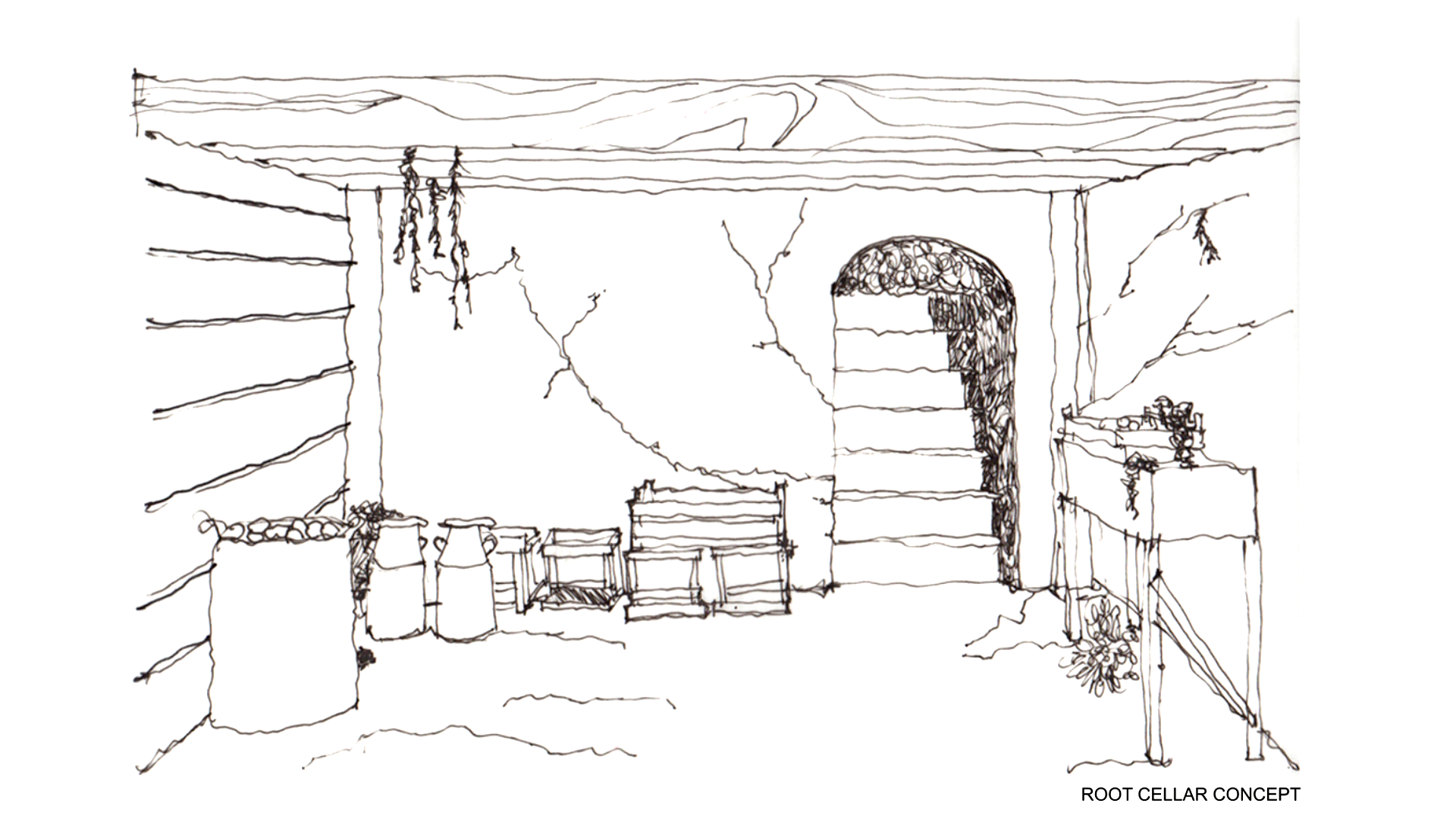 Root cellar production design concept sketch